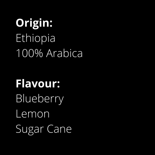 Mokaffa Coffee - Ethiopian Sidamo Flavour Notes